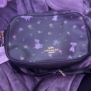 Disney Coach bag